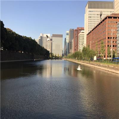 十一选五软件下载安装