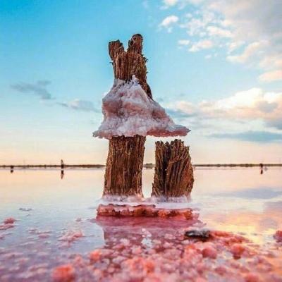 加拿大南宫NG娱乐app下载