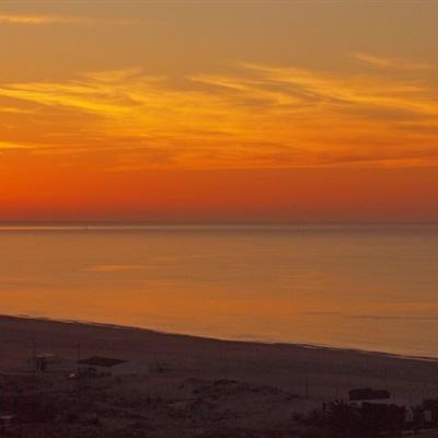 半岛官方APP入口手机app下载