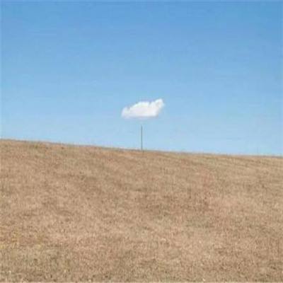 半岛官网入口体育