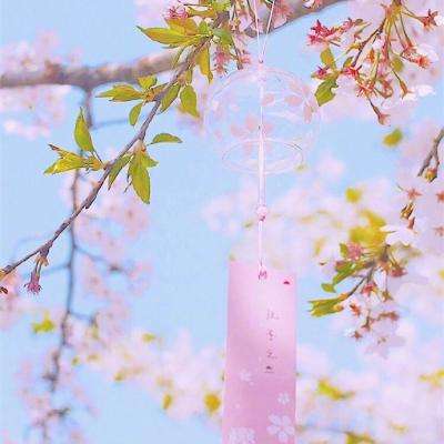 365体育官网入口