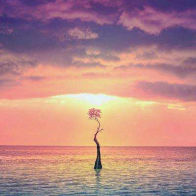 188金宝搏手机app下载