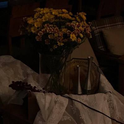 十一选五软件下载安装